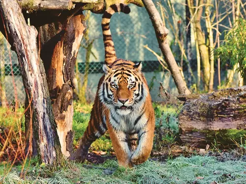 Zoo Liberec – dobrodružství z poznání